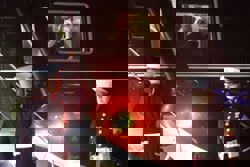 Trump says Cambodia, Thailand going to be fine after calls over conflict