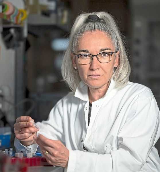 Sorry! Image not available at this time