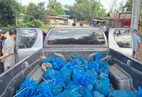 Meth and monkey business interrupted