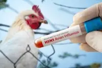 Man dies of H5N1 bird flu in Cambodia