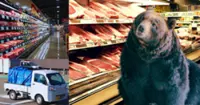'Not wanted here', Bear gets shot dead by cops for entering famous shopping mall in Akita, Japan