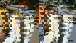 Brazilian influencer Diana Areas falls to death from apartment at age 39