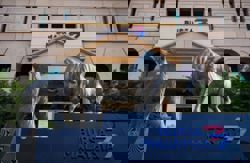 Bursa Malaysia to trade sideways this week amid fresh global policies and data signals