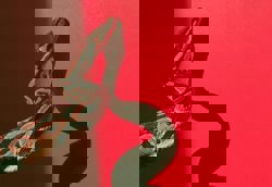 Family shocked as 60kg python crashes through bathroom ceiling