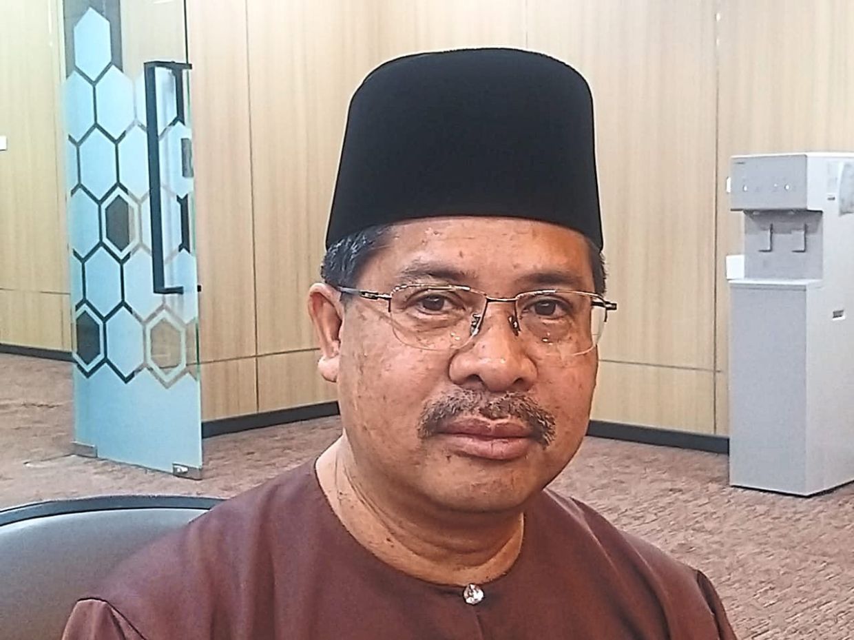 Mayor: JS-SEZ to boost MBIP tax revenue