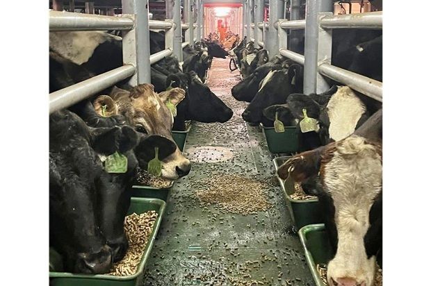 Sorry! Image not available at this time