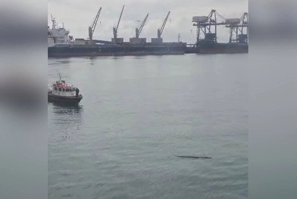 The video is believed to have been recorded by one of the ship workers in the area.