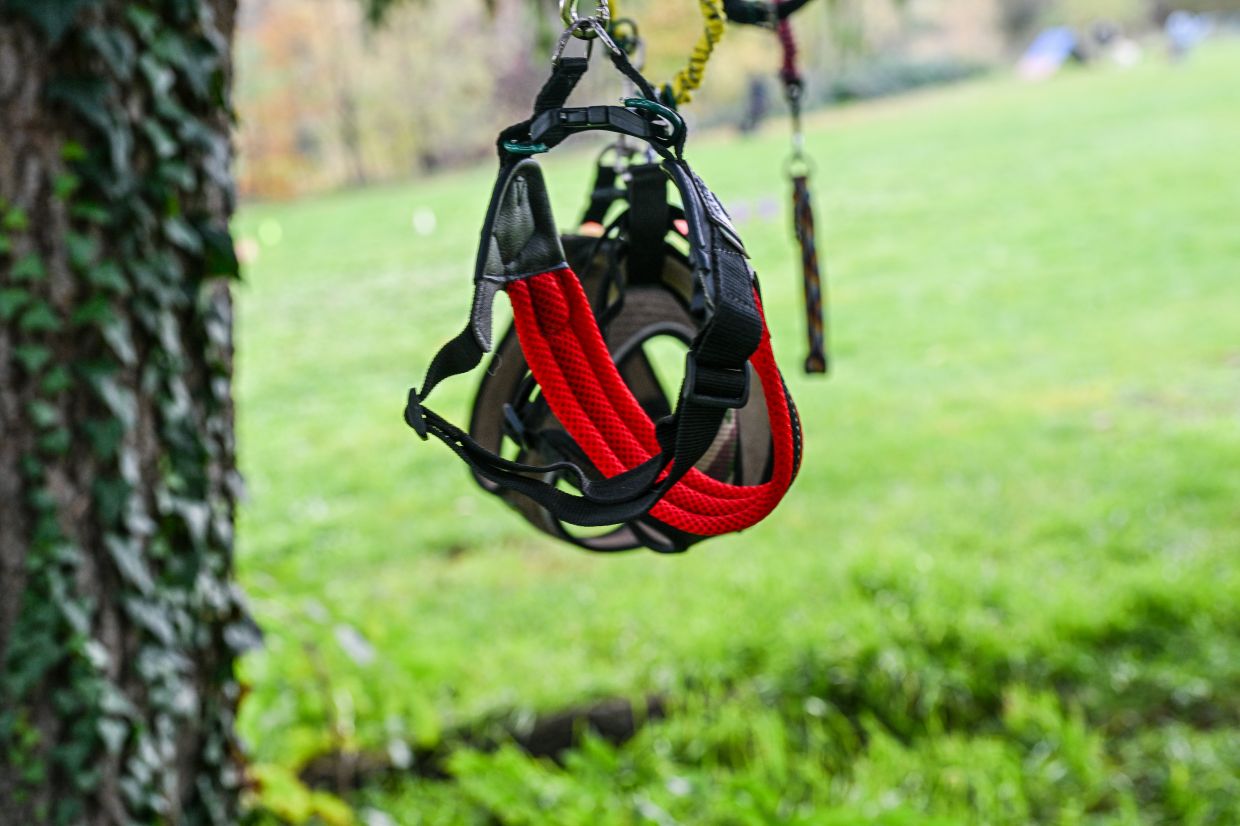 Hobby dogging is, as might be expected, met with much head-shaking, scepticism and ridicule online, since the dog only exists in the imagination. — Photo: Jason Tschepljakow/dpa