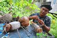 Finding unique art in nature