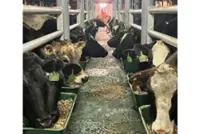 Johor has second highest ruminant population, targets 200,000 by 2027