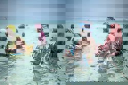 Beneath Zanzibar's warming waters lies hope for these women