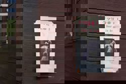 Bear found near school killed in Japan’s Yamagata prefecture