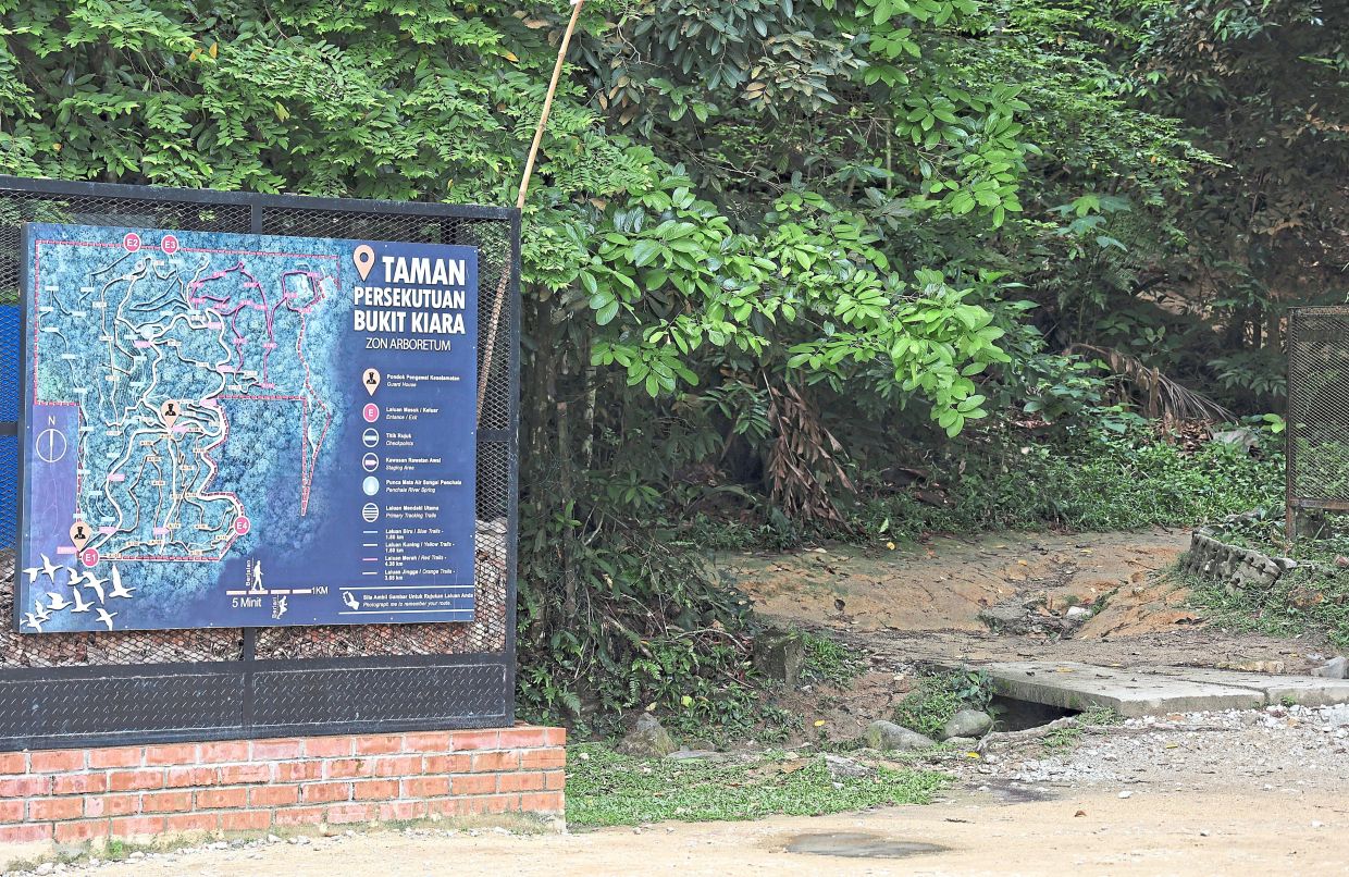 Klang Valley’s secret jungles