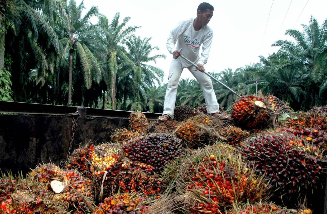 Why Indonesia’s clean energy still feeds on old inequalities