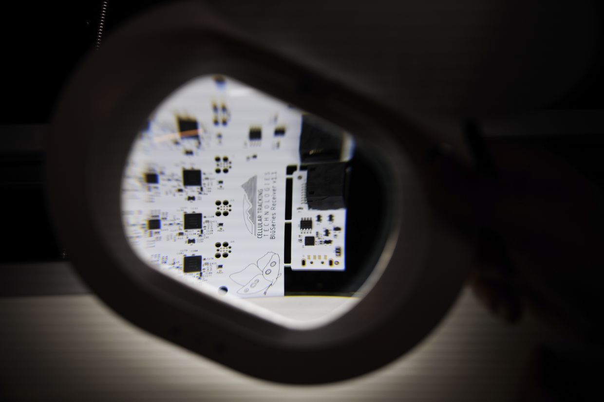 A detail of a receiver of a tag developed by Cellular Tracking Technologies for tracking monarch butterflies, in Rio Grande, New Jersey, on Nov 12, 2025. — Hannah Beier/The New York Times