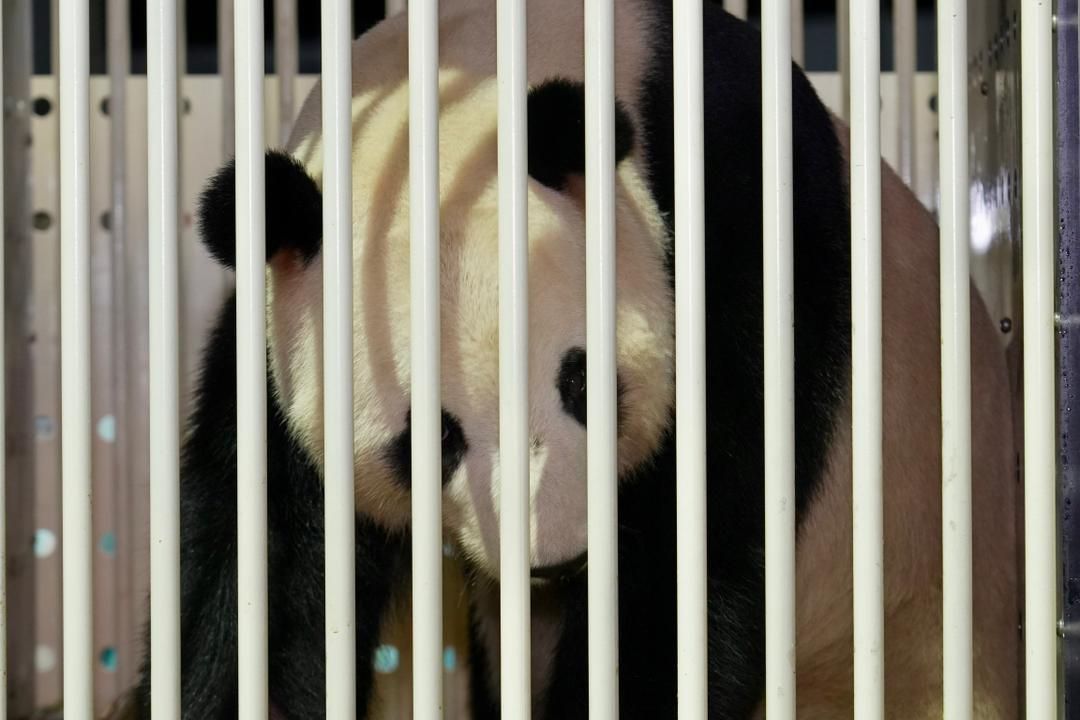 Sorry! Image not available at this time