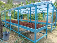 Choosing the green solution