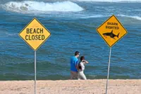 Australia bites back