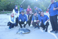 Olive ridley turtle released into Penang waters after year-long recovery