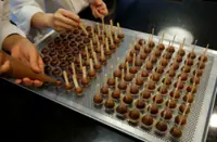 Barry Callebaut to use NotCo AI to develop chocolate recipes