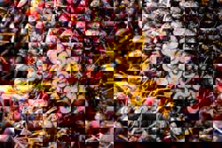 Upward price support for palm oil next year