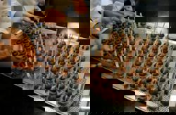 Barry Callebaut to use NotCo AI to develop chocolate recipes