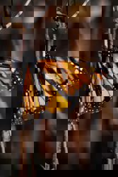 We can now track individual monarch butterflies. It’s a revelation.