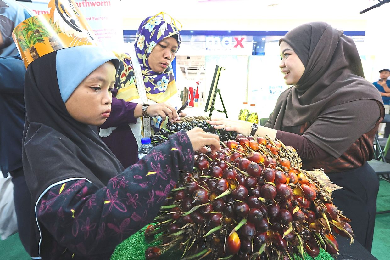 Interactive exhibits such as fresh oil palm bunches among highlights of the event. — Photos: THOMAS YONG/The Star
