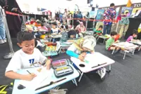 Campaign to promote green plantations