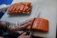 China to halt Japan seafood imports amid Taiwan spat: Reports