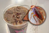 Cockroach coffee: China museum offers insect brew for US$6, assures patrons of its safety