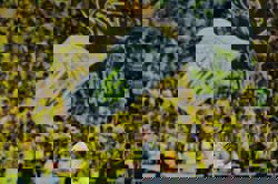 Ronaldo attends White House meeting between Trump and Saudi crown prince