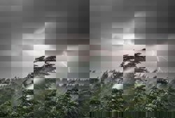 Thunderstorm, strong wind warning issued for Perak, Selangor and Sabah until 1pm Nov 20