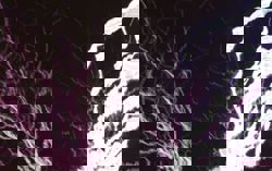 Viral video of electrocution is from 2022, say authorities