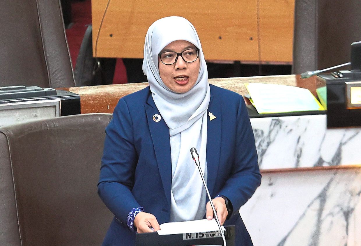 Anfaal says Selangor plans to enhance both care and financial assistance for senior citizens.
