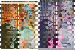 Namewee slammed by Taiwanese model for seeking jobs amid Iris Hsieh murder probe