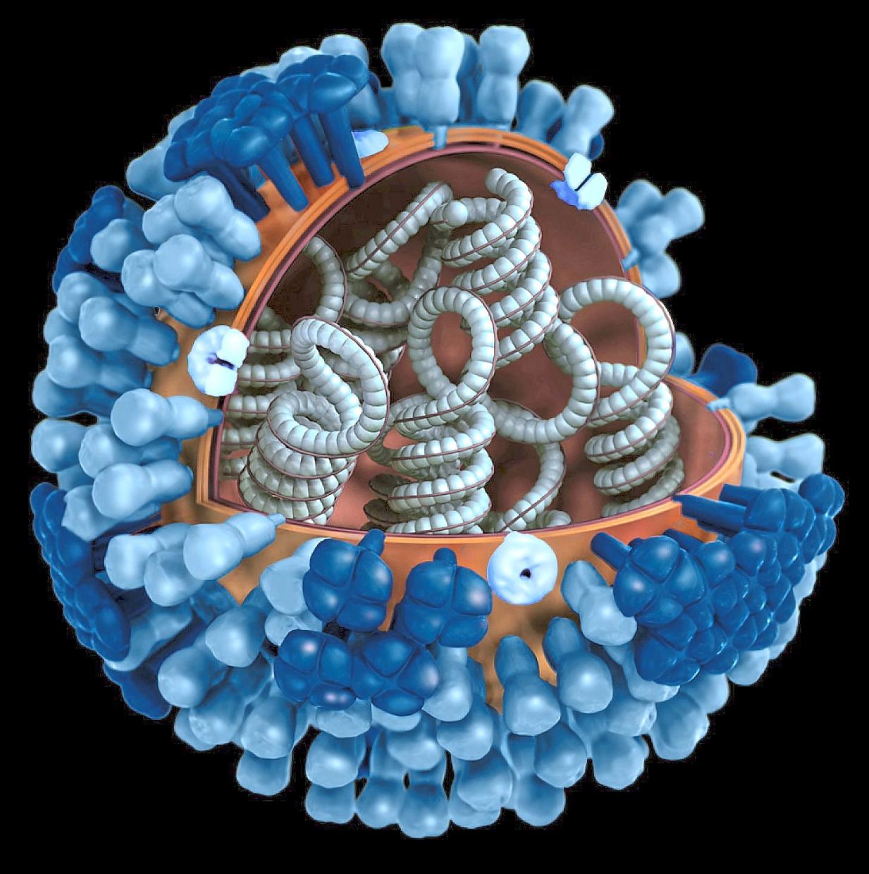 Chasing cures with cells and genes