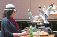 Just give the seagulls a shout