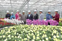 Showcasing our harmony