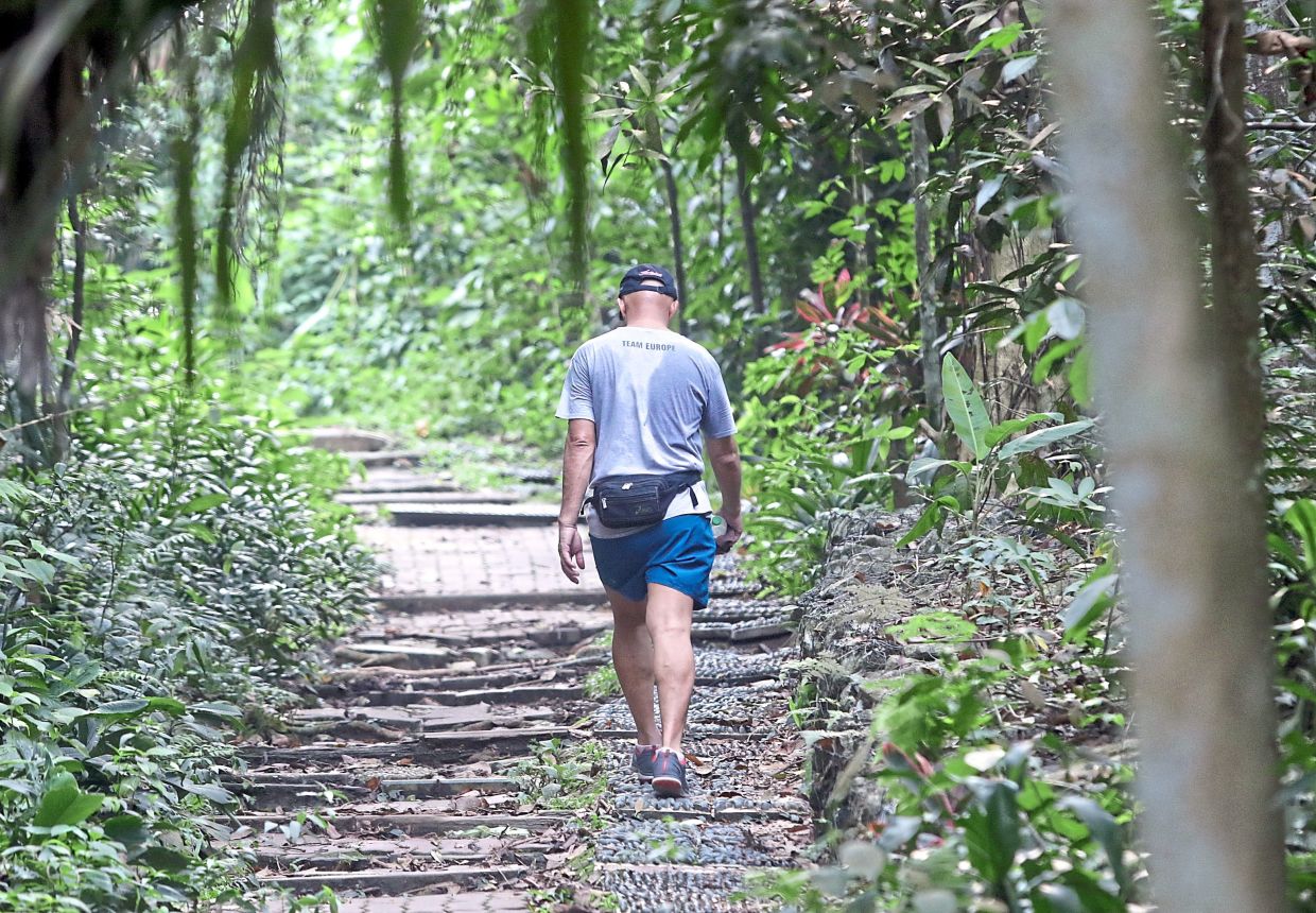 Bukit Gasing is a green space in Petaling Jaya, Selangor.