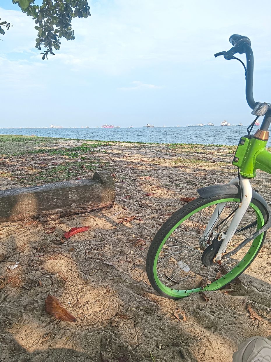 Life is great on two wheels (above) or four (below).