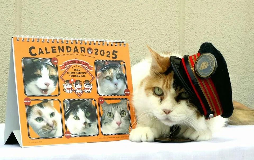 Nitama’s adorable appearance helped promote the railway company and contributed to an increase in overseas tourists. - Photo: The Yomiuri Shimbun