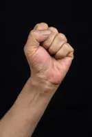 Indonesia's biggest Islamic group asks chief to resign over invitation to pro-Israeli speaker