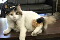 Beloved cat stationmaster in Japan dies