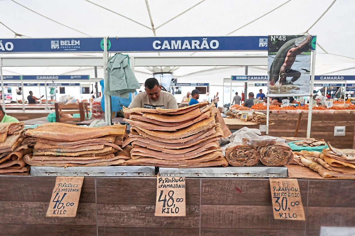 Salted fish such as pirarucu is displayed for sale for tourists at the Ver-o-Peso market. — Photos: Reuters