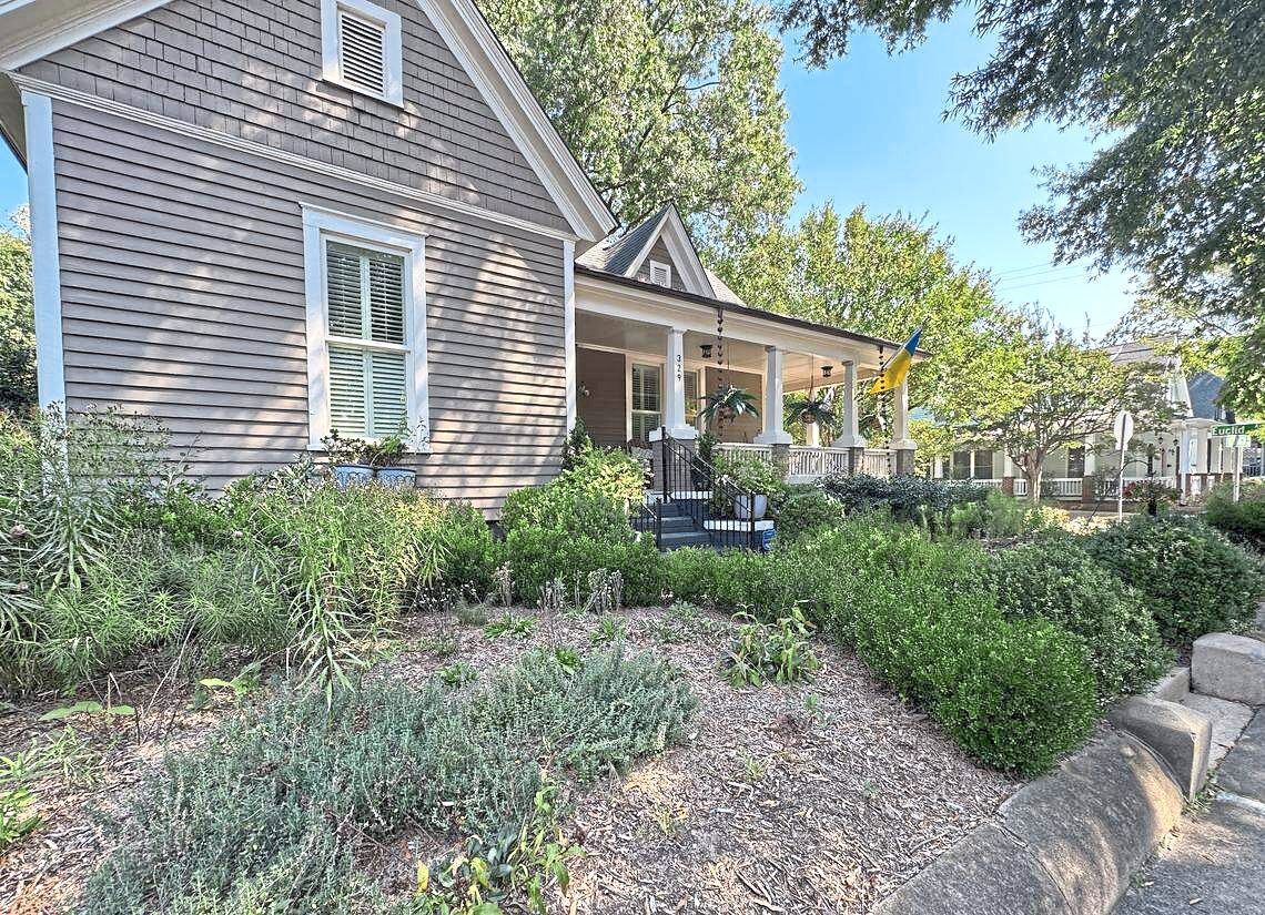 Lesesne's yard has multiple flowering plants.