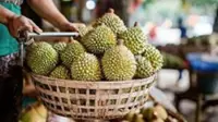 Myanmar's durian industry gears up for international exports