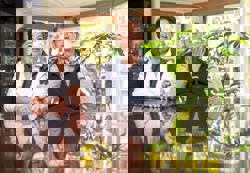 Resilient breadfruit ensures food security in hurricane-torn Jamaica