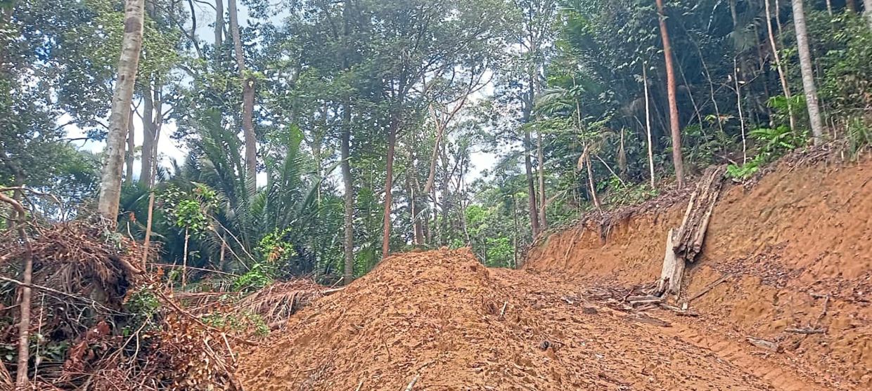 Sorry! Image not available at this time