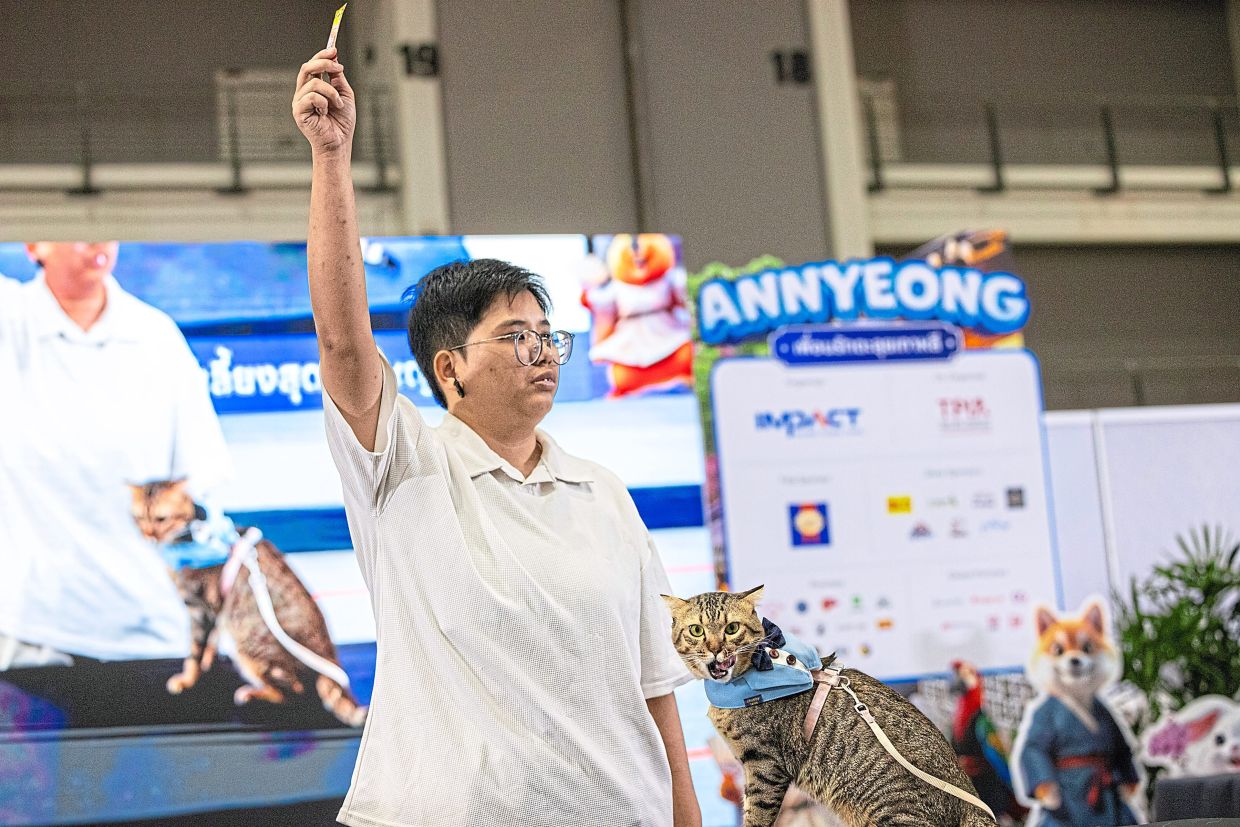 Chutiwan with her cat Kimmon after the competition. Speed eating contests are part of a growing list of pet-related events in Thailand. — Photos: LAUREN DECICCA/The New York Times